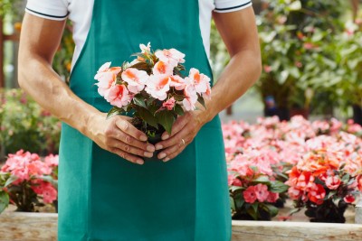 devenir fleuriste
